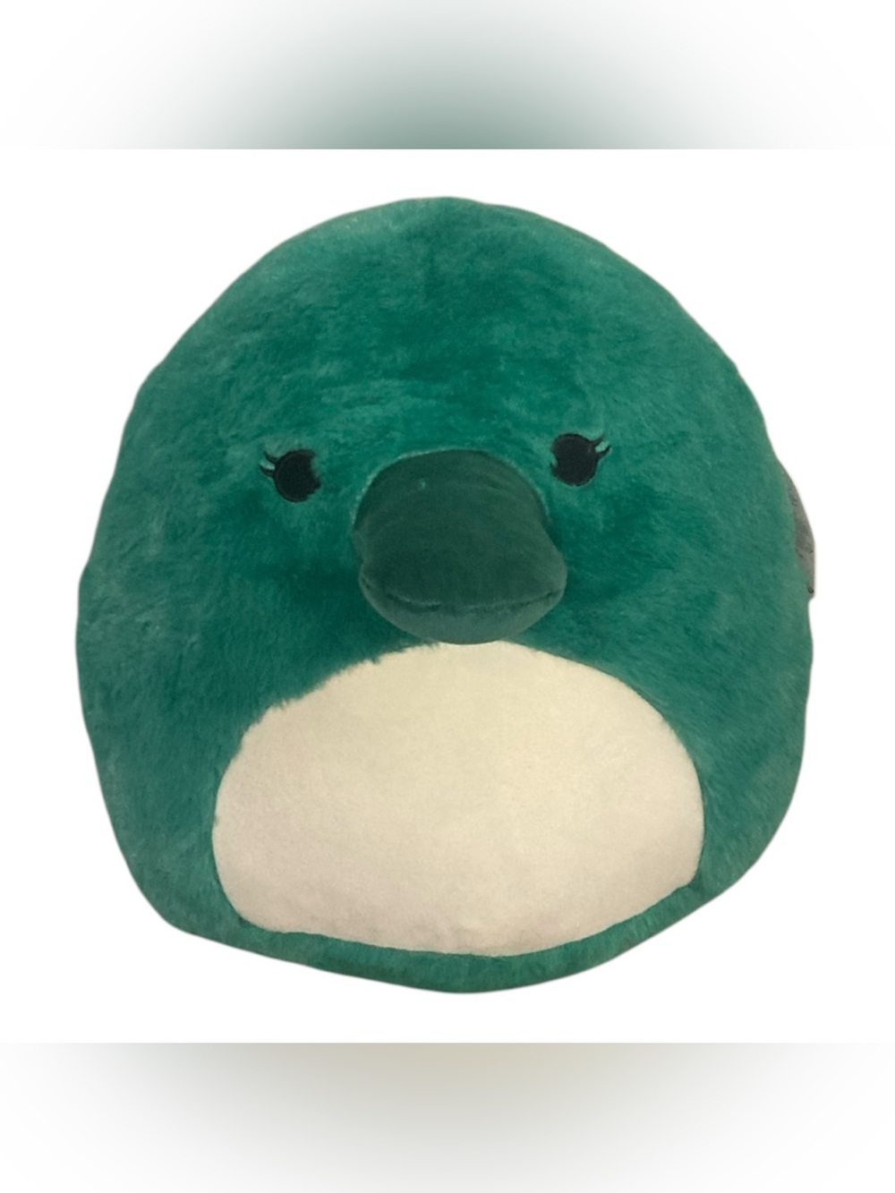 Squishmallows Selassi the Green Platypus Plush